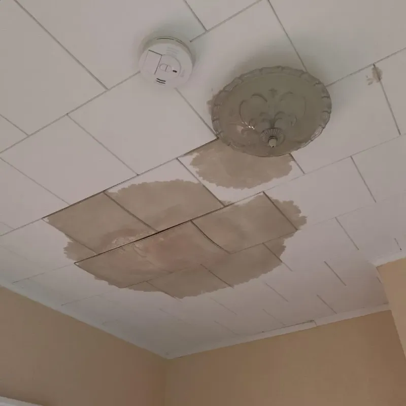 Ceiling Water Damage Repair in North Grosvenor Dale, CT