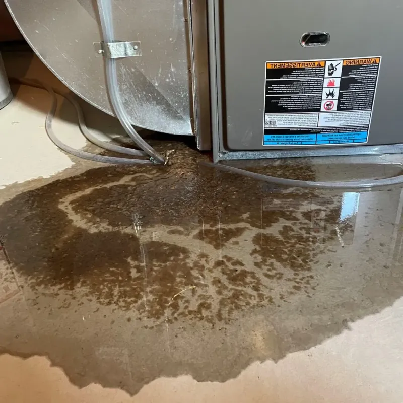 Pipe Burst and Leak Restoration in North Grosvenor Dale, CT