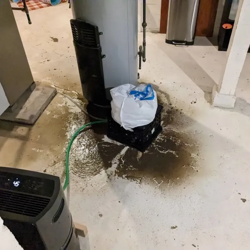 Sewage Backup Cleanup Service in North Grosvenor Dale, CT